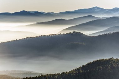 Dağlarda bulut denizi. Bas rhin, Alsace, Fransa