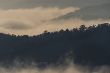 Gökyüzünü sisli bulutlarla kaplayan bir dağ sırası. Ağaçlar uzun ve yayılmış, derinlik ve uçsuz bucaksızlık hissi yaratıyor.