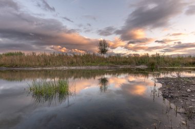 Önünde ağaç olan bir su kütlesi. Su sakin ve gökyüzü bulutlu. Bas-Rhin, Alsace, Grand Est, Fransa, Avrupa.