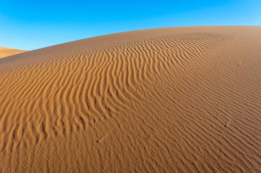 Arkasında mavi gökyüzü olan kumlu bir çöl. Kum dalgalı ve hafif bir eğimi var. Merzouga, Errachidia, Draa-Tafilalet, Fas, Afrika.