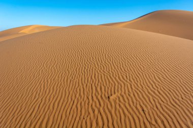 Arkasında mavi gökyüzü olan kumlu bir çöl. Kum dalgalı ve hafif bir eğimi var. Merzouga, Errachidia, Draa-Tafilalet, Fas, Afrika.