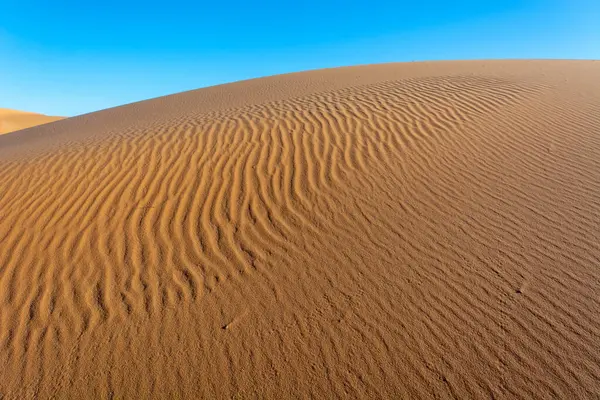Arkasında mavi gökyüzü olan kumlu bir çöl. Kum dalgalı ve hafif bir eğimi var. Merzouga, Errachidia, Draa-Tafilalet, Fas, Afrika.