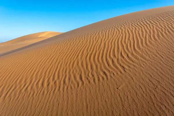 Arkasında mavi gökyüzü olan kumlu bir çöl. Kum dalgalı ve hafif bir eğimi var. Merzouga, Errachidia, Draa-Tafilalet, Fas, Afrika.