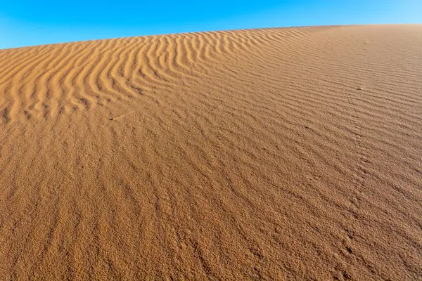 Arkasında mavi gökyüzü olan kumlu bir çöl. Kum dalgalı ve hafif bir eğimi var. Merzouga, Errachidia, Draa-Tafilalet, Fas, Afrika.