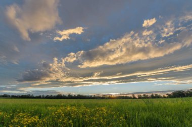 Canlı bir günbatımı, turuncu ve sarı tonlarıyla gökyüzünü aydınlatırken yemyeşil bir arazi boyunca uzanır. Bulutlar akşam ışığında ilham verici bir zemin oluşturur. Bas rhin, Alsace, grand est, France, Europe.Bas rhin, Alsace, gra