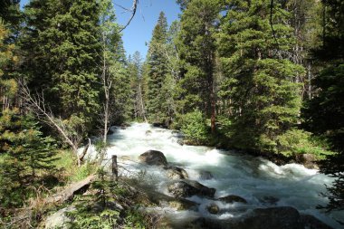 Sakaldiş Dağları, Montana 'da Fork Gölü