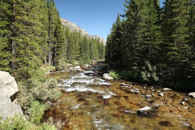 Sakaldiş Dağları, Montana 'da Fork Gölü