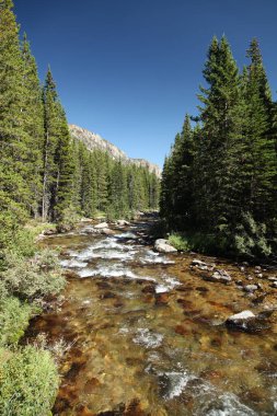 Sakaldiş Dağları, Montana 'da Fork Gölü