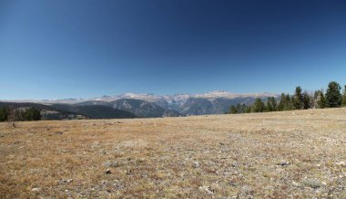 Montana 'daki Beartooth Dağları' nda yüksek rakımlı yaylalar