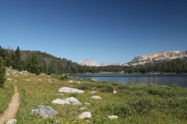 Beartooth Lisesi Wyoming 'deki Beartooth Dağları' ndaki Island Gölü boyunca uzanan göller patikası.