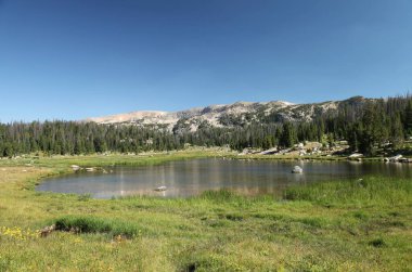 Shoshone Ulusal Ormanı 'ndaki göl Sakaldiş Dağları, Wyoming