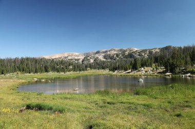 Lake in Shoshone National Forest in Beartooth Mountains, Wyoming clipart