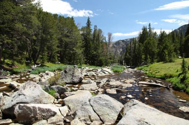 Beartooth Dağları 'nda dere, Montana