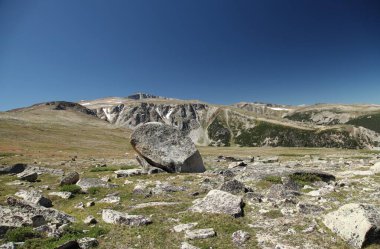 Montana 'daki Beartooth Dağları' nda yüksek rakımlı alp yaylası