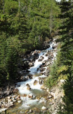 Armstrong Deresi, Beartooth Dağları, Montana