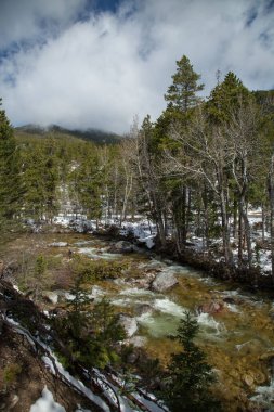 West Fork Rock Creek in Beartooth Mountains, Montana clipart