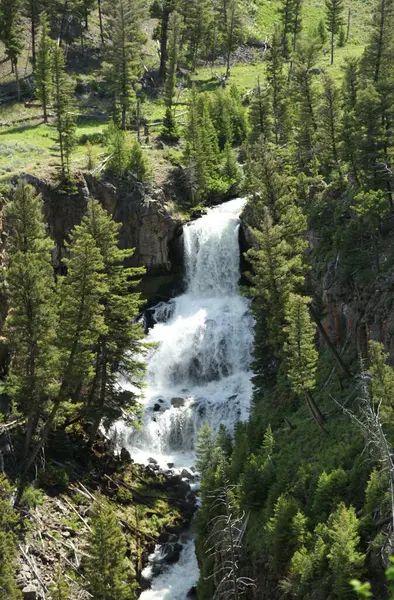 stock image Undine Falls waterfall on Lava Creek in Yellowstone National Park, Wyoming