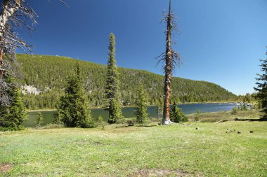 Gertrude Gölü, Beartooth Dağları, Montana
