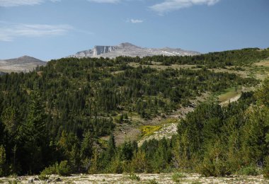 Plateau in Beartooth Mountains, Montana clipart