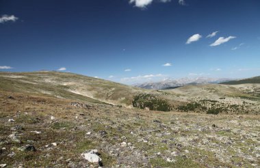 Beartooth Dağları 'ndaki Red Lodge Creek Platosu, Montana