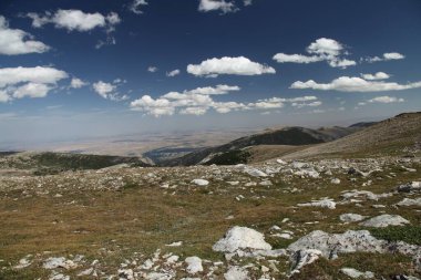 Beartooth Dağları, Montana 'daki Alp Red Lodge Creek Platosu' ndan görüntü