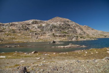 Albino Gölü Alp Ayısı Dağları, Montana