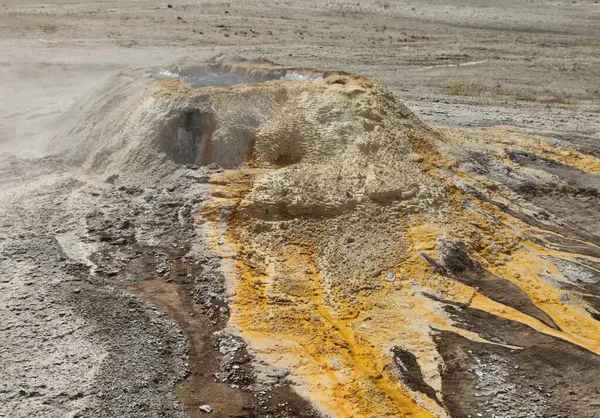 Yukarı Geyser Havzasında Sünger Gayzer Yellowstone Ulusal Parkı, Wyoming