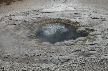 Yellowstone Ulusal Parkı, Wyoming 'deki Yukarı Gayzer Havzasında Sahil Pınarı
