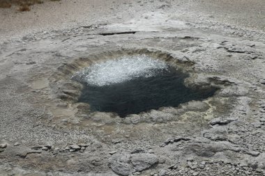 Yellowstone Ulusal Parkı, Wyoming 'deki Yukarı Gayzer Havzasında Sahil Pınarı