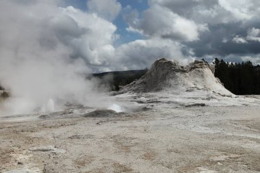 Yellowstone Ulusal Parkı, Wyoming 'deki Yukarı Gayzer Havzası' ndaki Castle Gayzer.