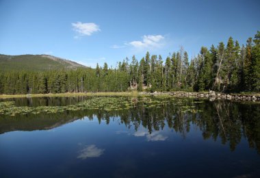 Beartooth Dağları 'ndaki Aşağı Havza Gölü, Montana