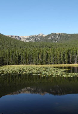 Beartooth Dağları 'ndaki Aşağı Havza Gölü, Montana