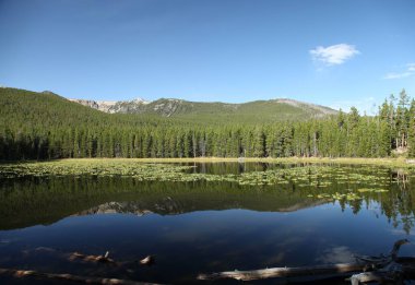 Beartooth Dağları 'ndaki Aşağı Havza Gölü, Montana