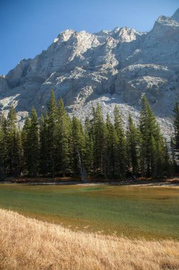 Beartooth Dağları 'ndaki West Fork Rock Deresi, Montana
