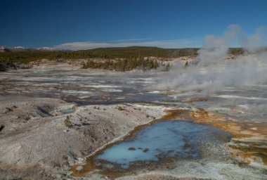 Norris Gayzer Havzası Yellowstone Ulusal Parkı, Wyoming
