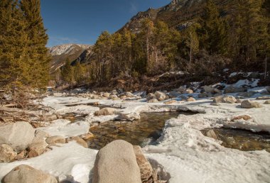 Beartooth Dağları 'ndaki Stillwater Nehri, Montana