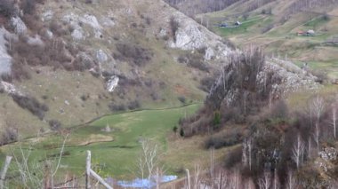 Güzel kırsal alan. Romanya 'nın Transilvanya kentindeki Fundatura Ponorului