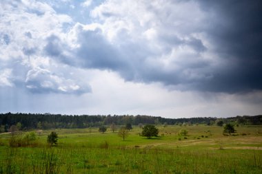 Hainberg 'in üzerindeki Fırtına Bulutları, Almanya' nın Nuremberg kentinde bahar mevsiminde bir doğa rezervi.