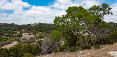 Teksas tepesi vadi kenarına yakın.