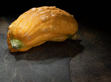 Uzayı bej bir taş yüzeyde kısa ve şişman sarı bir kabağın altına kopyala