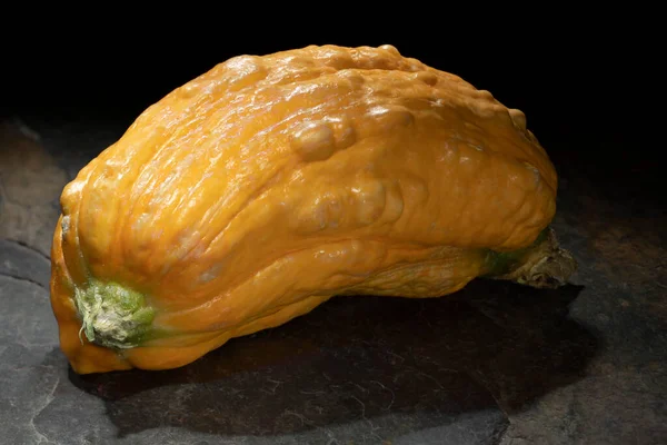 Kahverengi bir taş yüzeyde kısa ve şişman sarı kabak.