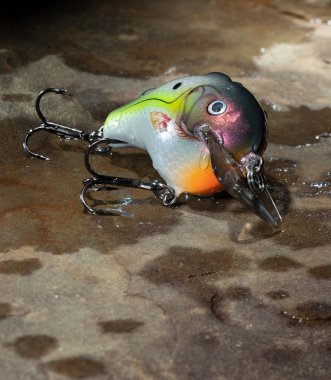 Islak bir kayaya kancalarla olta atmak