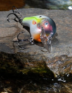 Her yer su içinde, parlak yapay bir balık yemi bir kayanın üzerinde.
