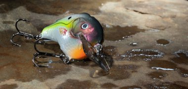 Water and fishing bait that is on a stone surface