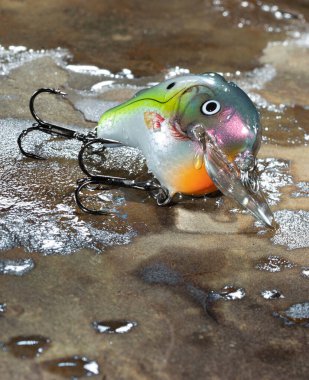 Kaya yüzeyinde suyla renkli balık yemi