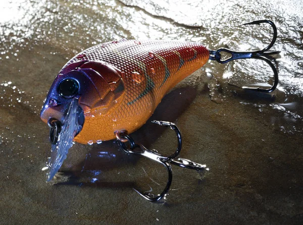 Wet plastic fishing lure that is on a stone surface