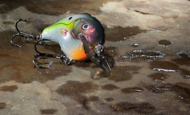 Water and fishing lure that is on a stonre surface