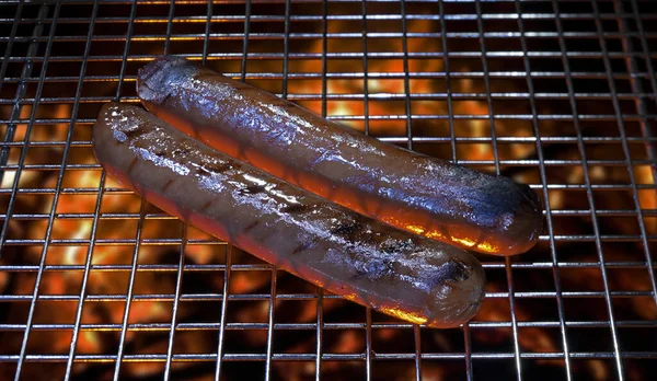 Gegrillte Hot Dogs Die Servierfertig Sind — Stockfoto