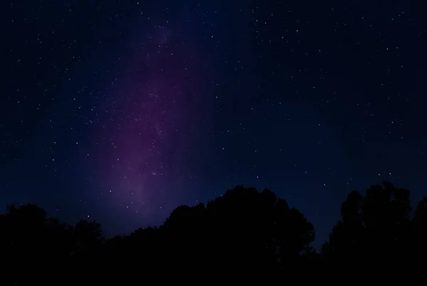Trees silhouetted by the stars and Milky Way near Raeford North Carolina