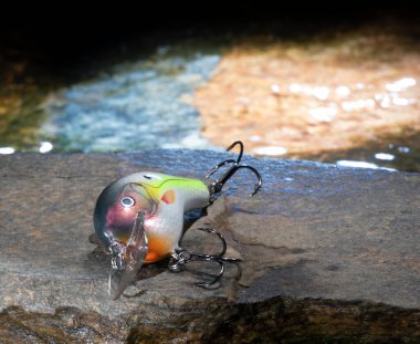Arkasında su olan bir kayanın üzerinde renkli yapay balık yemi.